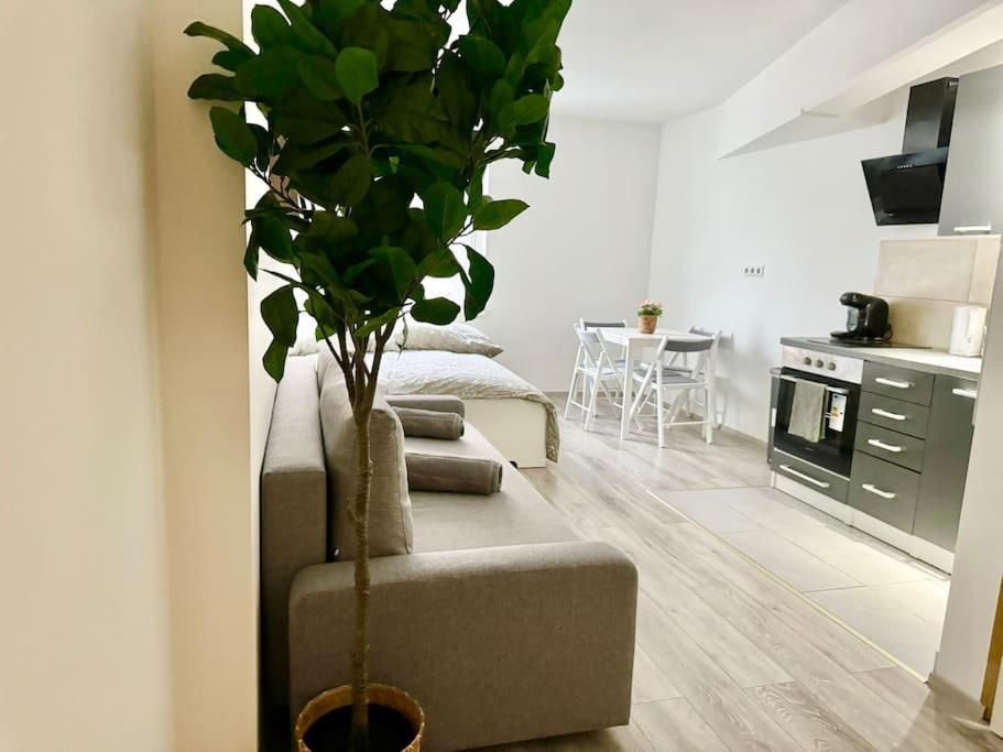 Easy Suites - Free Underground Parking Wina Bagian luar foto